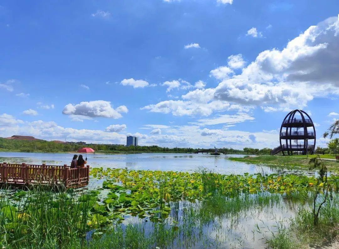 Waterfront view of Hengshui Lake National Wetland Park