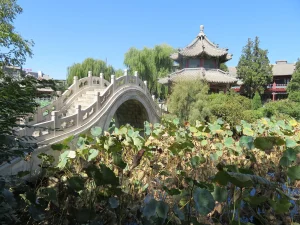 Ancient Lotus Pond Baoding Guide: Garden History, Lotus Season and Old City Tips