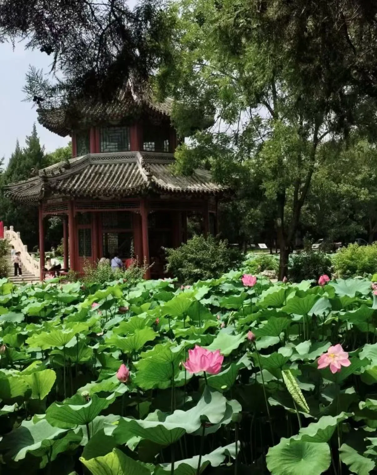 Baoding Ancient Lotus Pond route for a Beijing day trip