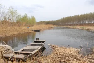 Baiyangdian wetland boat near Xiong'an New Area in Hebei