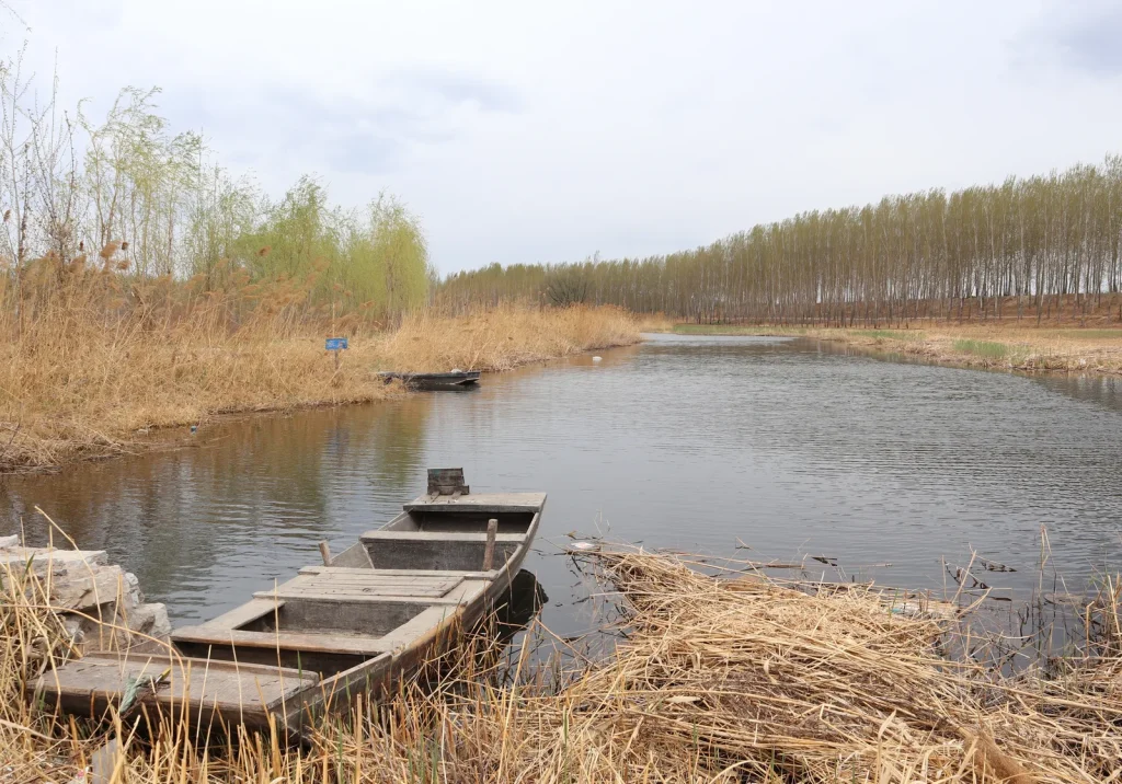 Small boat on Baiyangdian wetland near Xiong'an New Area