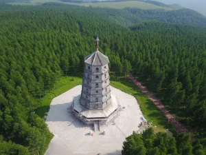 Aerial view of Saihan Tower surrounded by forest in Saihanba National Forest Park, Hebei