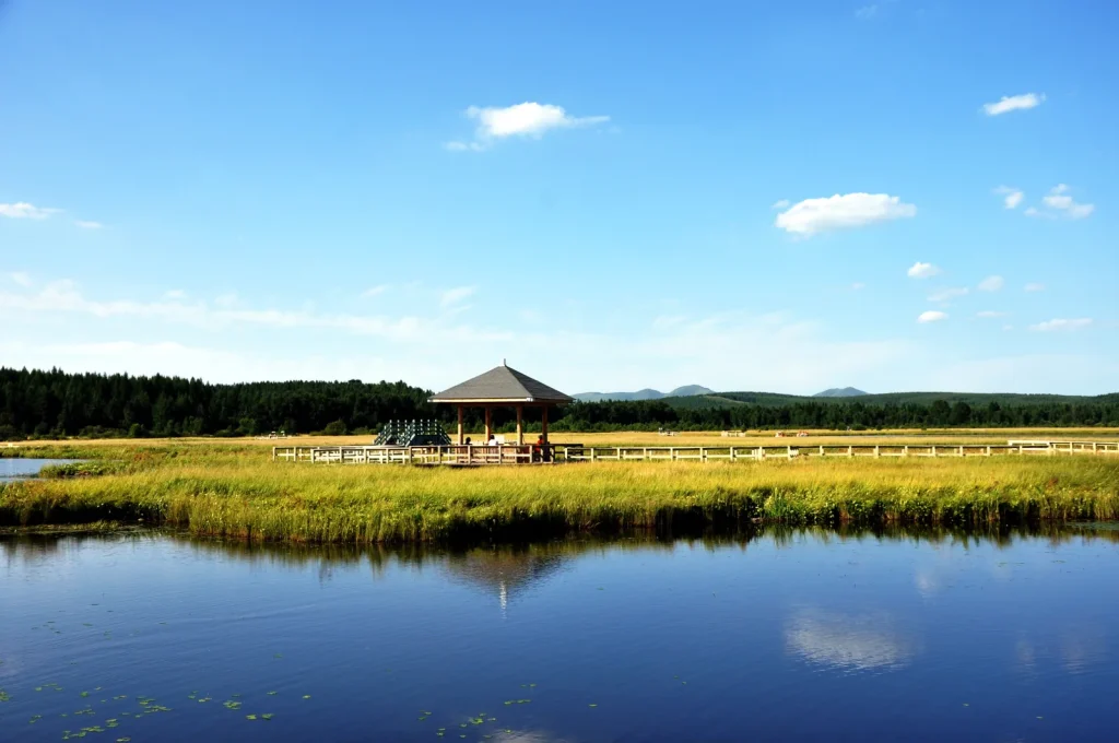 Qixing Lake wetland scenery in Saihanba National Forest Park