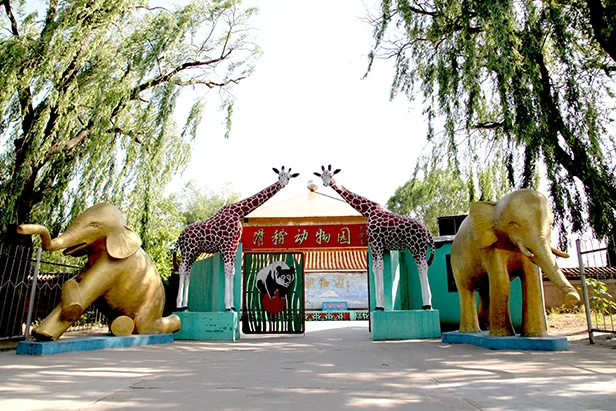 Entrance gate of Wuqiao Acrobatics World in Wuqiao County Cangzhou Hebei