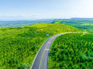 Zhangbei Grassland Road winding through green hills in Hebei