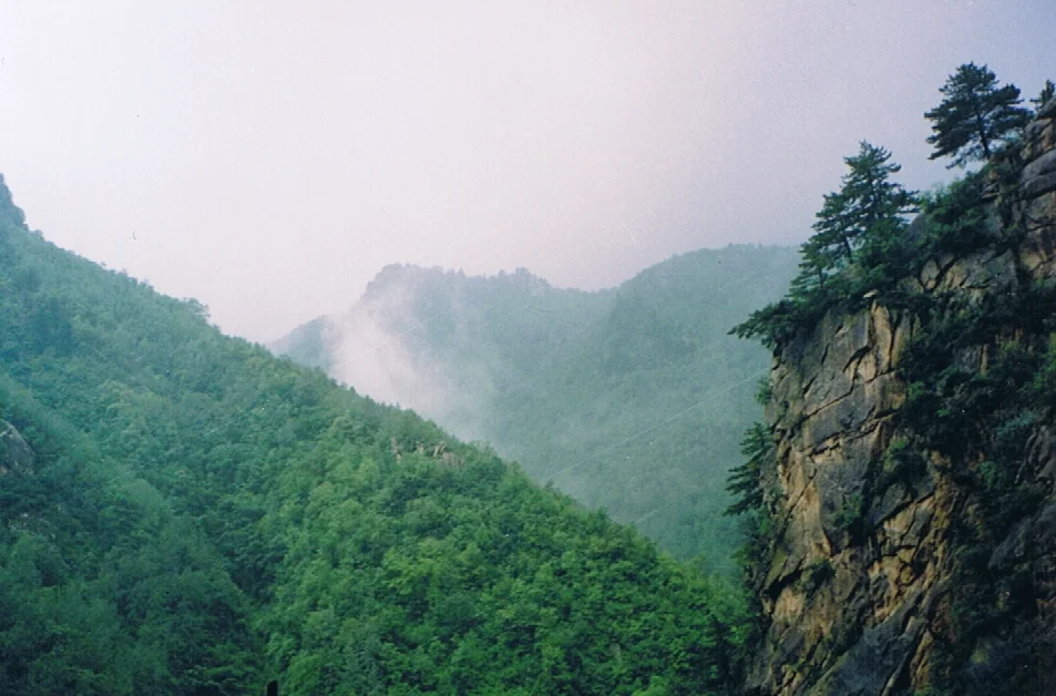 Forested valley and rocky ridgeline at Wulingshan National Nature Reserve