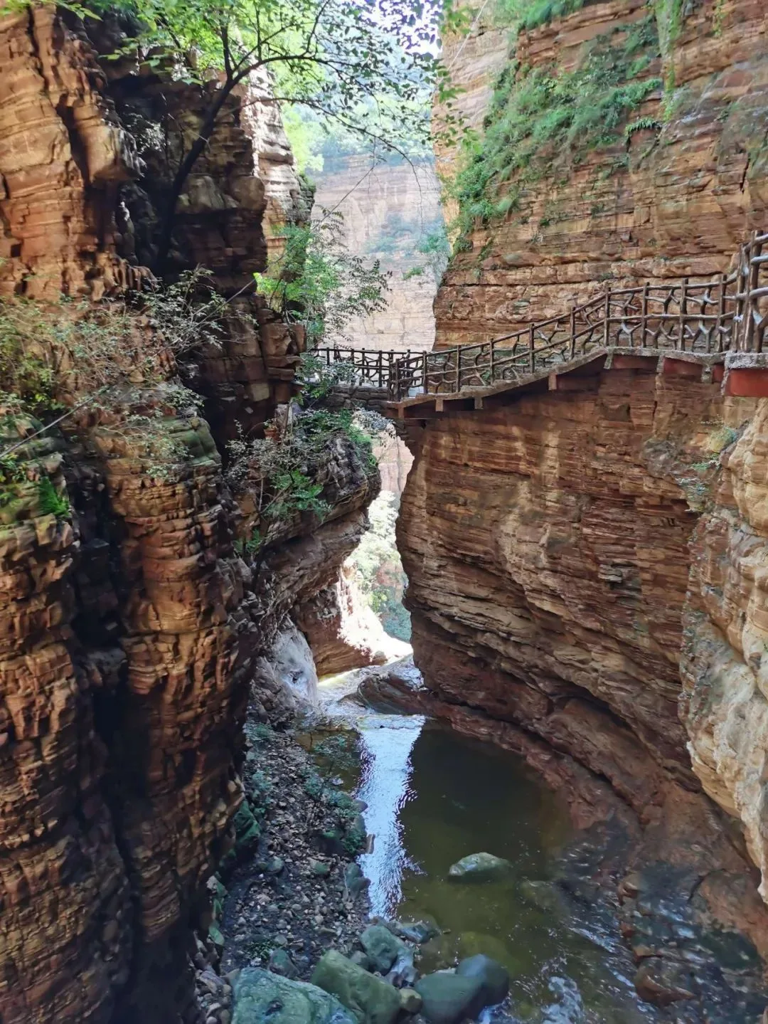 A narrow sandstone gorge and visitor walkway at Xingtai Grand Canyon