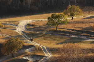 Real grassland landscape in Mulan Paddock, Weichang, Chengde, with a track through open pasture