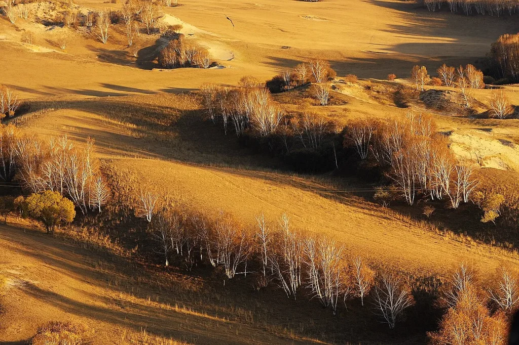 Real Mulan Paddock landscape in Weichang showing a country road, grassland, and autumn trees