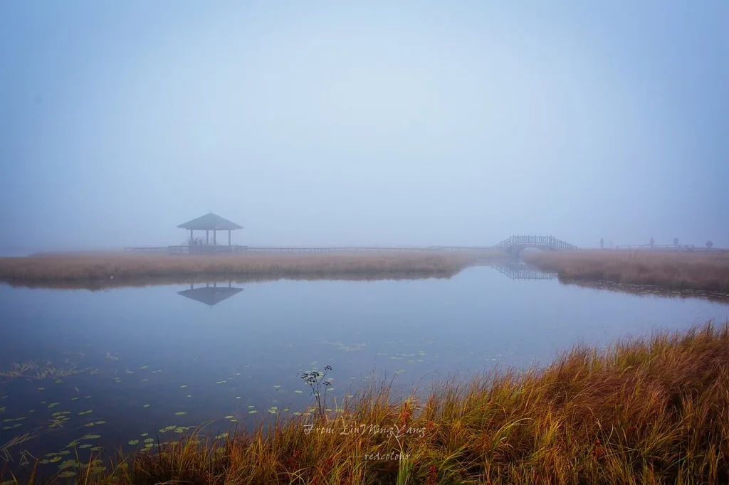 Real early-morning wetland scene at Saihanba with mist, water, reeds, and a small pavilion